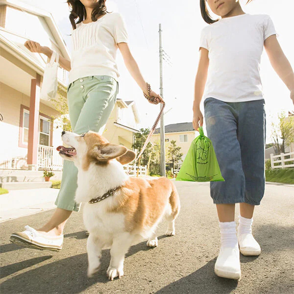 Compostable Pet Poop Bag