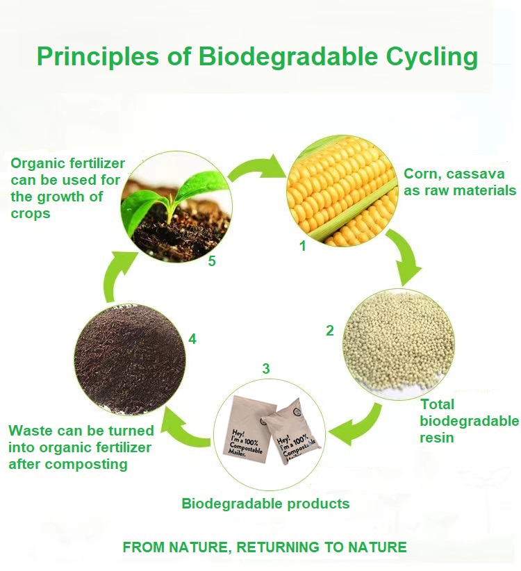 Cinta PLA transparente compostable