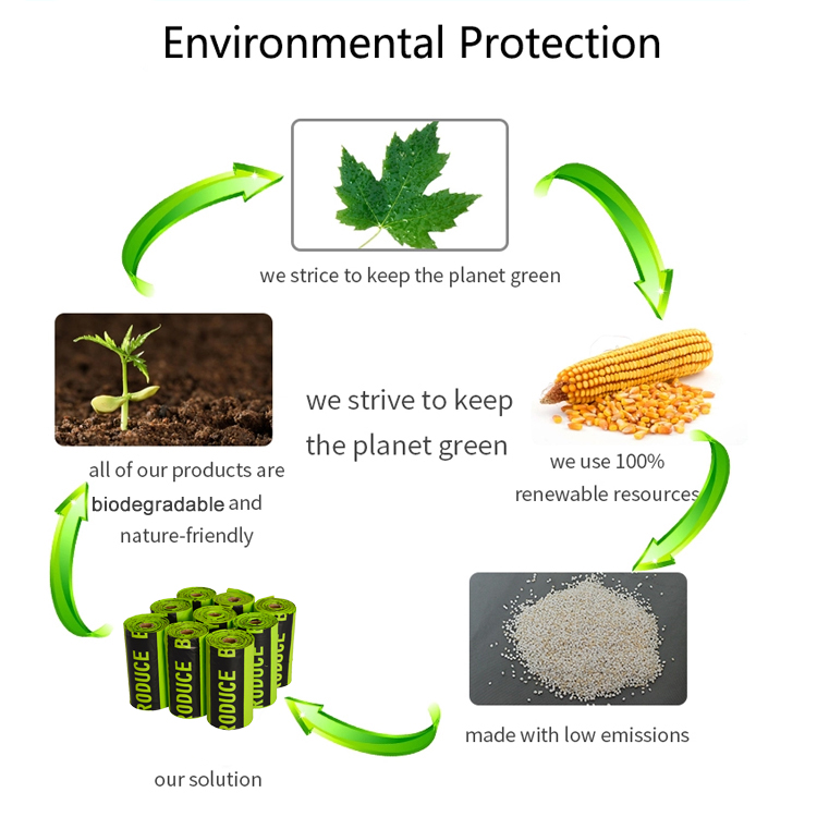 Cinta PLA transparente compostable